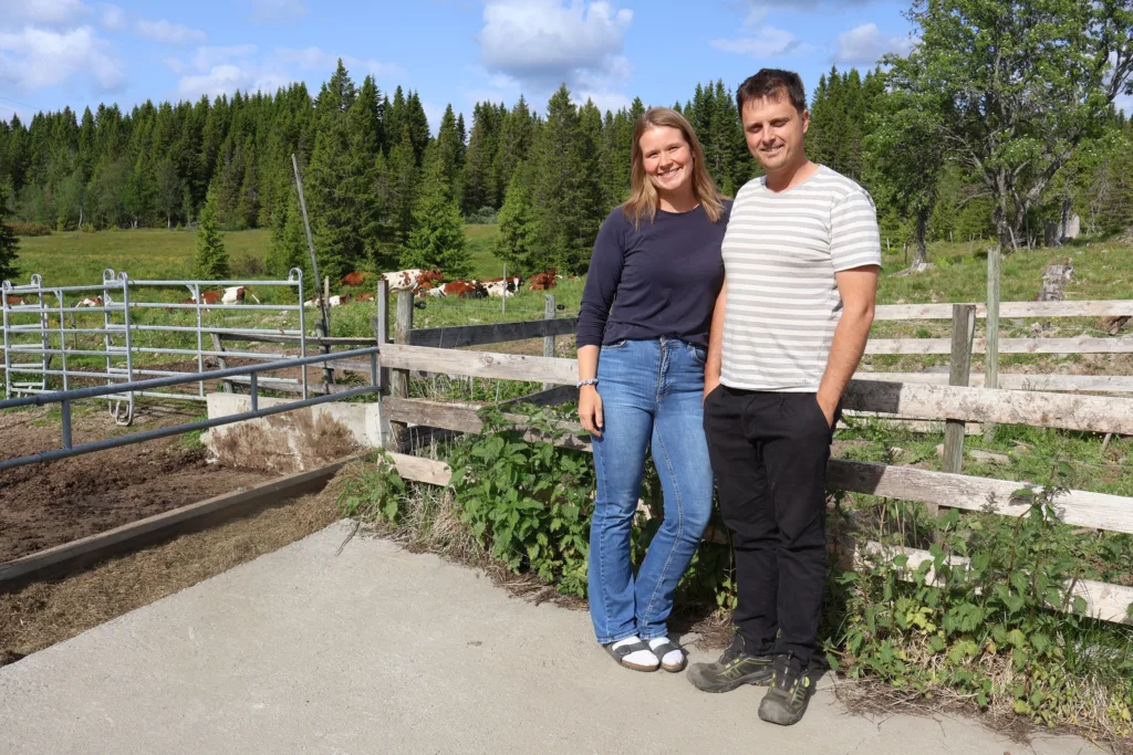 Georg og Ragnhild ute på Måsætra i Hamar kommune, med kyrne på beite i bakgrunnen