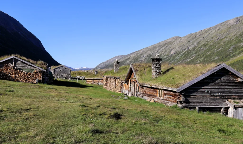 Uten den aktive seterdrifta her oppe kunne Grøvudalen vært lagt under vann.