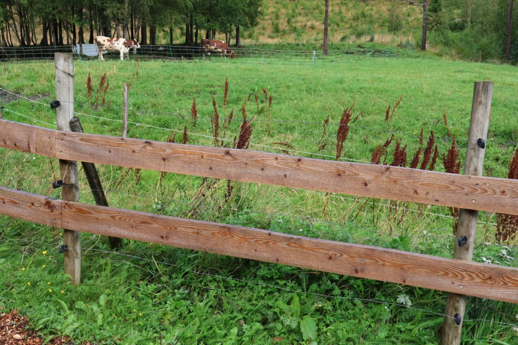 Gjerde rundt oksenes luftegård består av to planker med strømtråder over, under og mellom