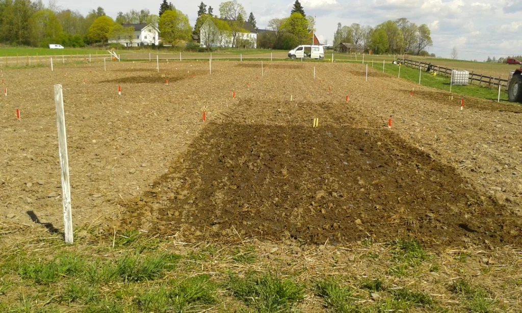 Forsøksfeltet ligger på gården Møystad i Vang, nær Hamar. Foto: Annbjørg Ø. Kristoffersen, NIBIO