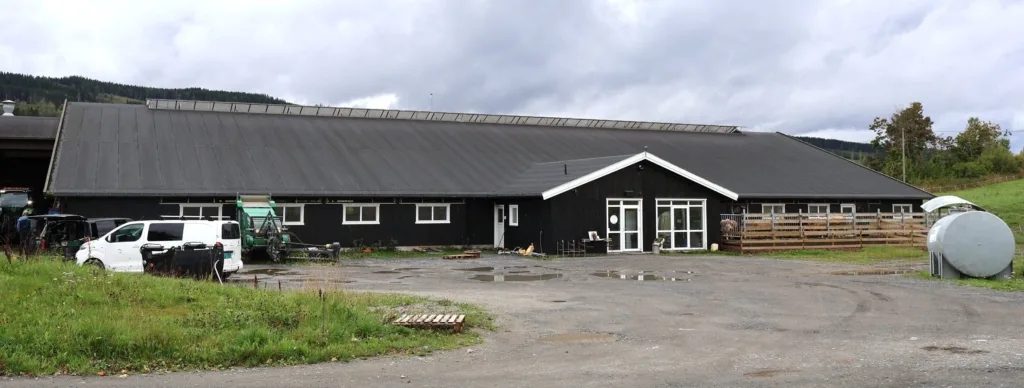 Fjøset har Håvard og faren bygd selv, og det sto ferdig i 2017. Fjøset er på 1 600 m2 med vannmadrass-liggebåser. Fjøset har Håvard og faren bygd selv, og det sto ferdig i 2017. Fjøset er på 1 600 m2 med vannmadrass-liggebåser.