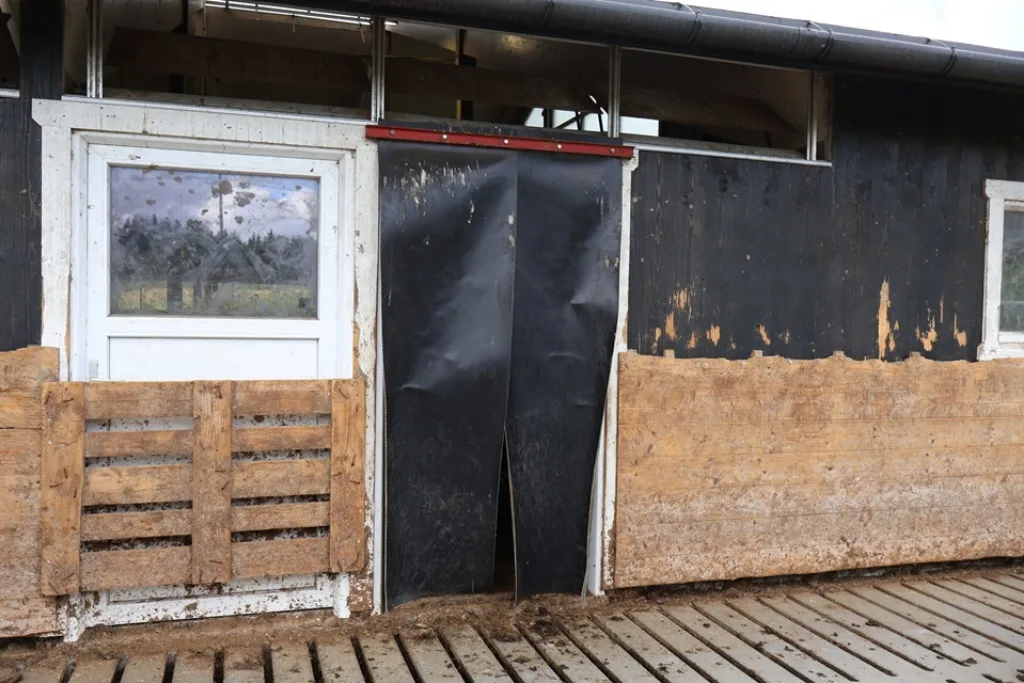 Gummiremser av gamle transportbånd i døråpningene viste seg å være solide nok til at oksene ikke klarer å ødelegge de. Gummiremser av gamle transportbånd i døråpningene viste seg å være solide nok til at oksene ikke klarer å ødelegge de.