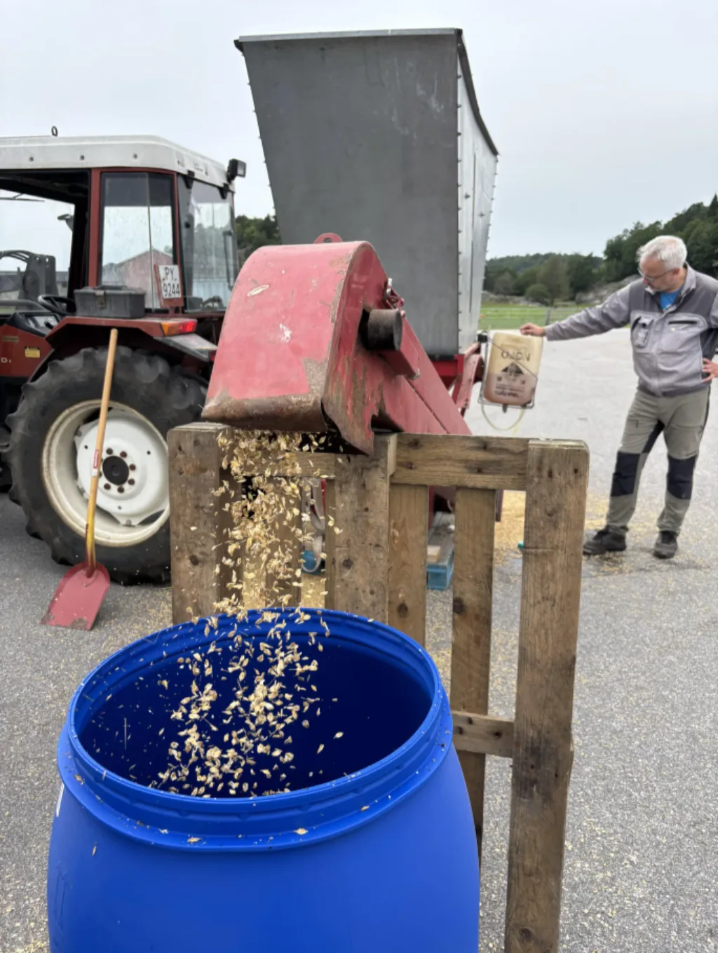 Valset korn tilsatt konserveringsmiddel på veg ut av krossmaskina. Vanninnholdet må være over 30 % for at valsing i krosser skal gå greit