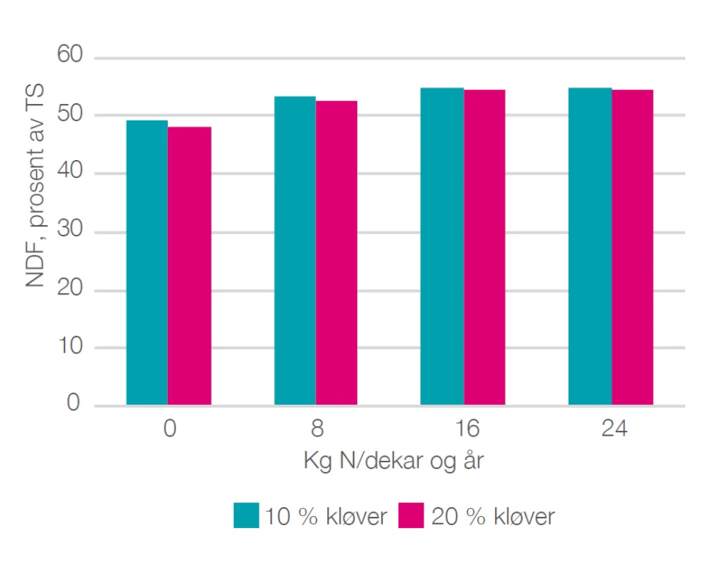 Figur 4. Samanheng mellom N-gjødsling (kg N/ dekar) og innhaldet av råprotein (prosent av TS) øvst og innhaldet av fiber (NDF, prosent av TS) nedst i årsavling i eng etablert med 10 eller 20 prosent kløver i frøblandinga. I ferdig surfôr vil råproteininnhaldet vere om lag 1 prosent poeng høgare enn i ferskt materiale. Vegd middel over tre slåttar per år og gjennomsnitt over tre engår.