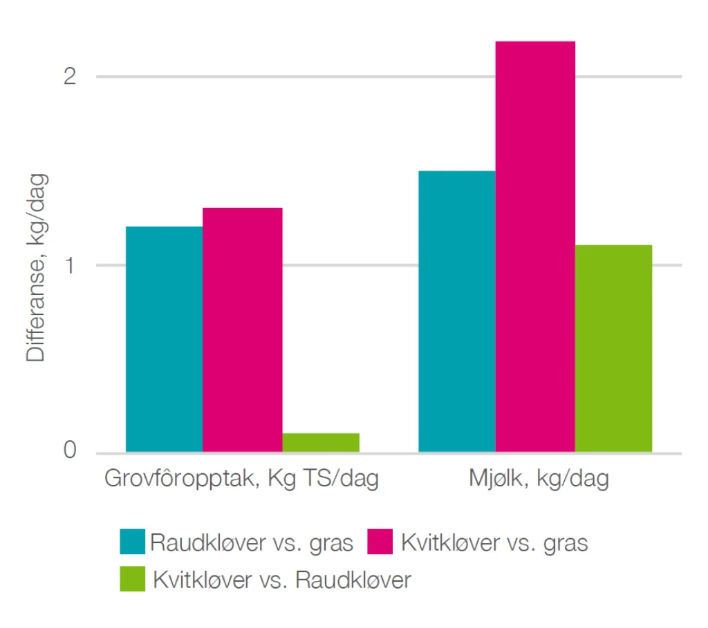 Figur 5. Differanse i grovfôropptak (kg TS/dag) og mjølkeavdrått (kg/dag) mellom kyr som fekk reint grassurfôr og surfôr med raudkløver eller surfôr med kvitkløver og mellom kyr som fekk surfôr med kvitkløver eller raudkløver. Kjelde: Steinshamn 2010.