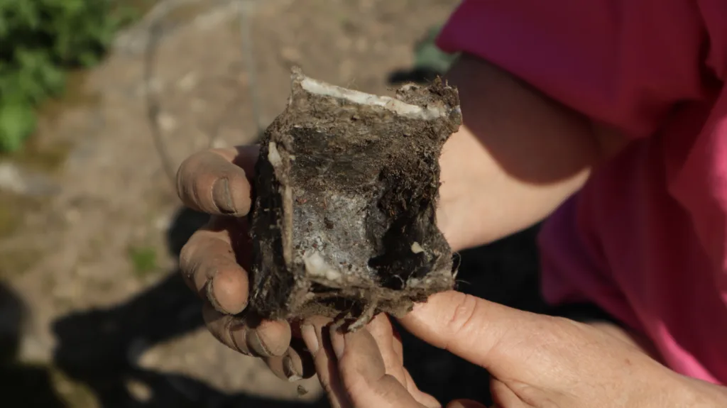 NEDBRYTNING: Ullpottene brytes ned og frigjør næringsstoffer til jorda og plantene. Utfordringen ligger i å finne den riktige balansen mellom nedbrytning og formstabilitet.