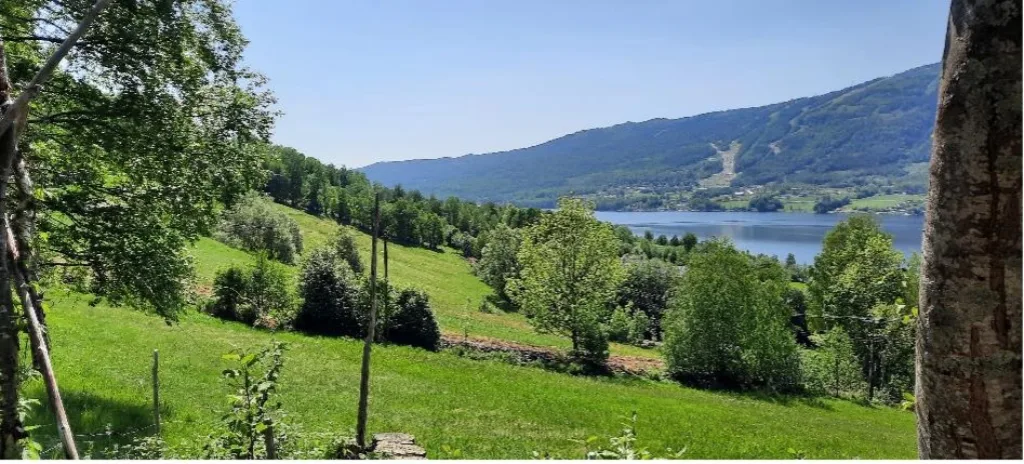 Olavsbråten ligger flott til med utsikt over Krøderfjorden og Norefjell