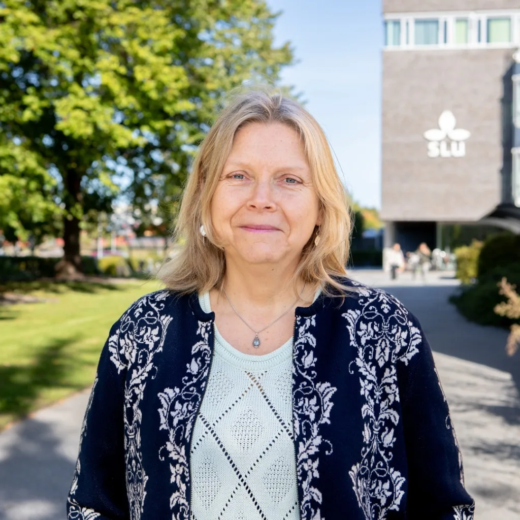 Ingrid Strid ved Sveriges lantbruksuniversitet (SLU) er hovedforfatter av studien som fant lavere dyretap i økologisk enn i konvensjonell storfeproduksjon. Ingrid Strid ved Sveriges lantbruksuniversitet (SLU) er hovedforfatter av studien som fant lavere dyretap i økologisk enn i konvensjonell storfeproduksjon.