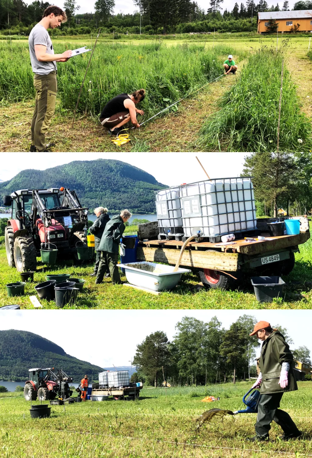 Bildeserien illustrerer noe av arbeidet som er blitt gjort årlig i forsøksfeltet. Øverst: Oppmåling av ruter i feltet. Midten: Beregning av gjødselmengder. Nederst: Påføring av gjødsel