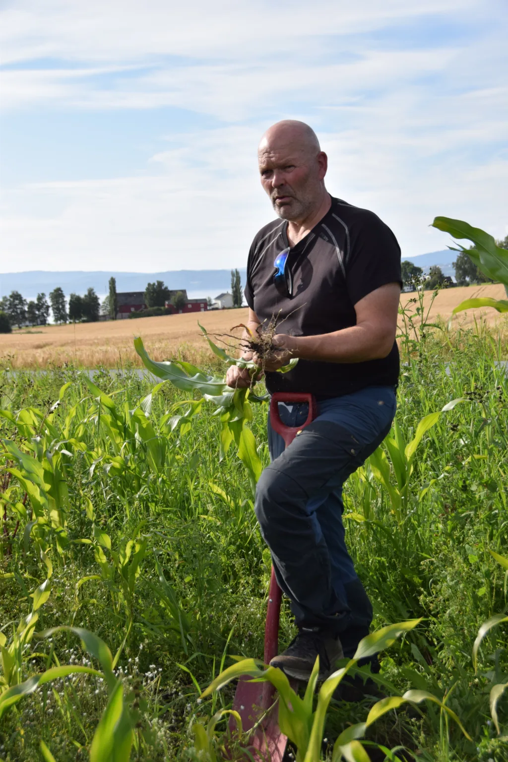 Frode lund er fornøyd med nabosamarbeid, både med hensyn til agronomi, økonomi og det sosiale. Frode lund er fornøyd med nabosamarbeid, både med hensyn til agronomi, økonomi og det sosiale.
