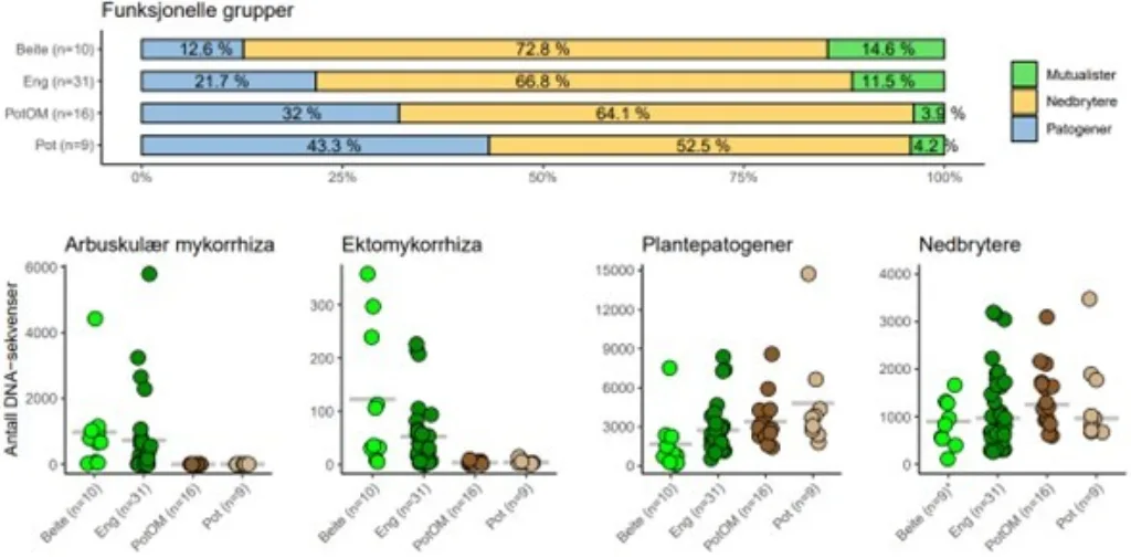 Ulike funksjonelle grupper av sopp funnet i jordprøver fra fire ulike systemer. Relative mengder øverst i figuren og absolutte mengder nederst, alle basert på DNA-analyser. Hvert punkt representerer en jordprøve. De grå linjene i bakgrunnen viser snittet for mengde av ulike funksjonelle grupper sopp.