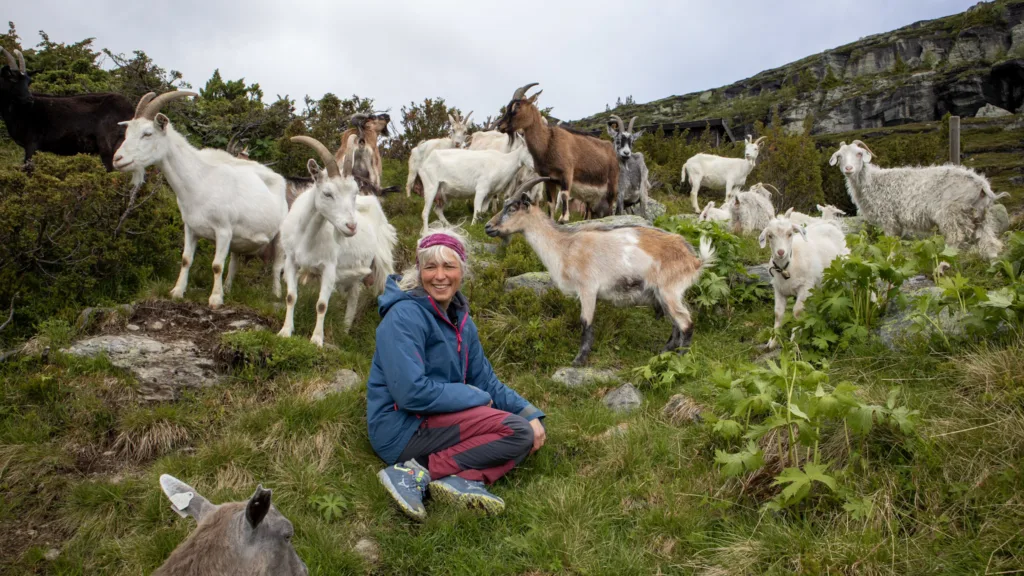 Det gode liv på setra