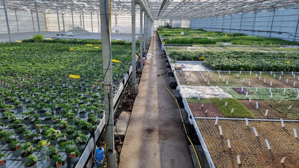 Når 250 ulike sorter skal såes fem ganger i løpet av sesongen stiller det store krav til god planlegging