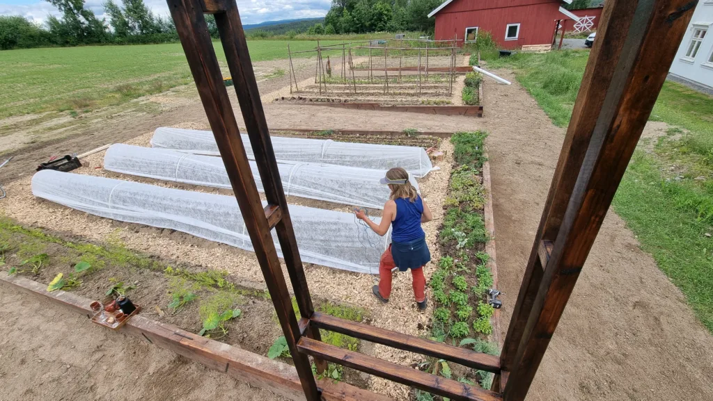 I tillegg til økt inntjening bidrar prosjekt med bygging av kjøkkenhager til en variert hverdag.