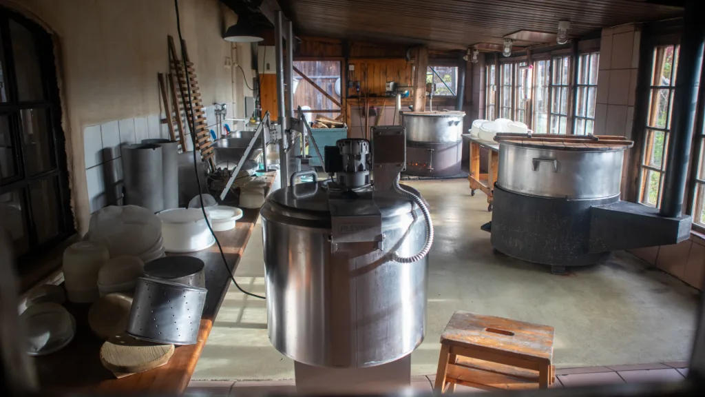 YSTEGLEDE: Hønsehuset ble bygd om til ysterom i 1994. Med store vinduer mot sør er det et lunt og vakkert rom å arbeide i