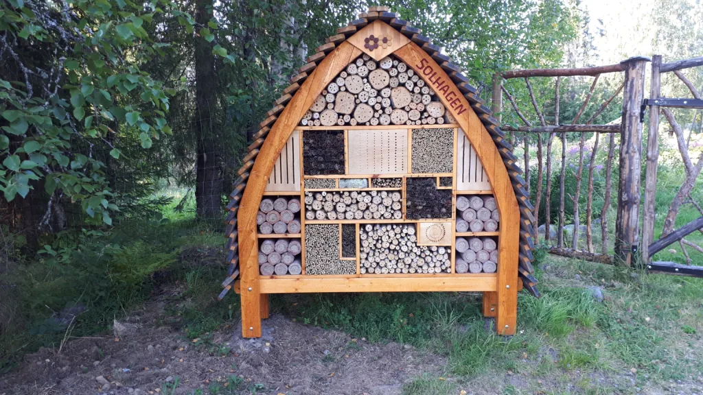 På Solhagen er det lagt til rette for et stort mangfold av insekter, ikke bare biene. Foto: Loes van Alphen