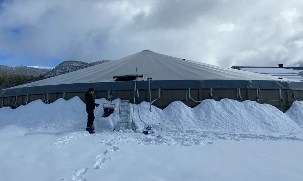 Ved tak over gjødsellager, kan det bli tykk, porøs skorpe på gjødsla