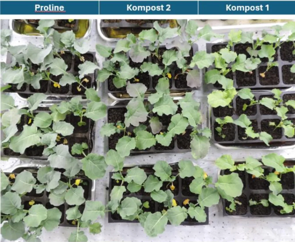 Forsøk med oppalsplanter ga varierende resultater. Komposten fra én av gårdene holdt god kvalitet, mens komposten fra den andre ikke var optimal for oppal. "Proline" ble brukt som referansejord.