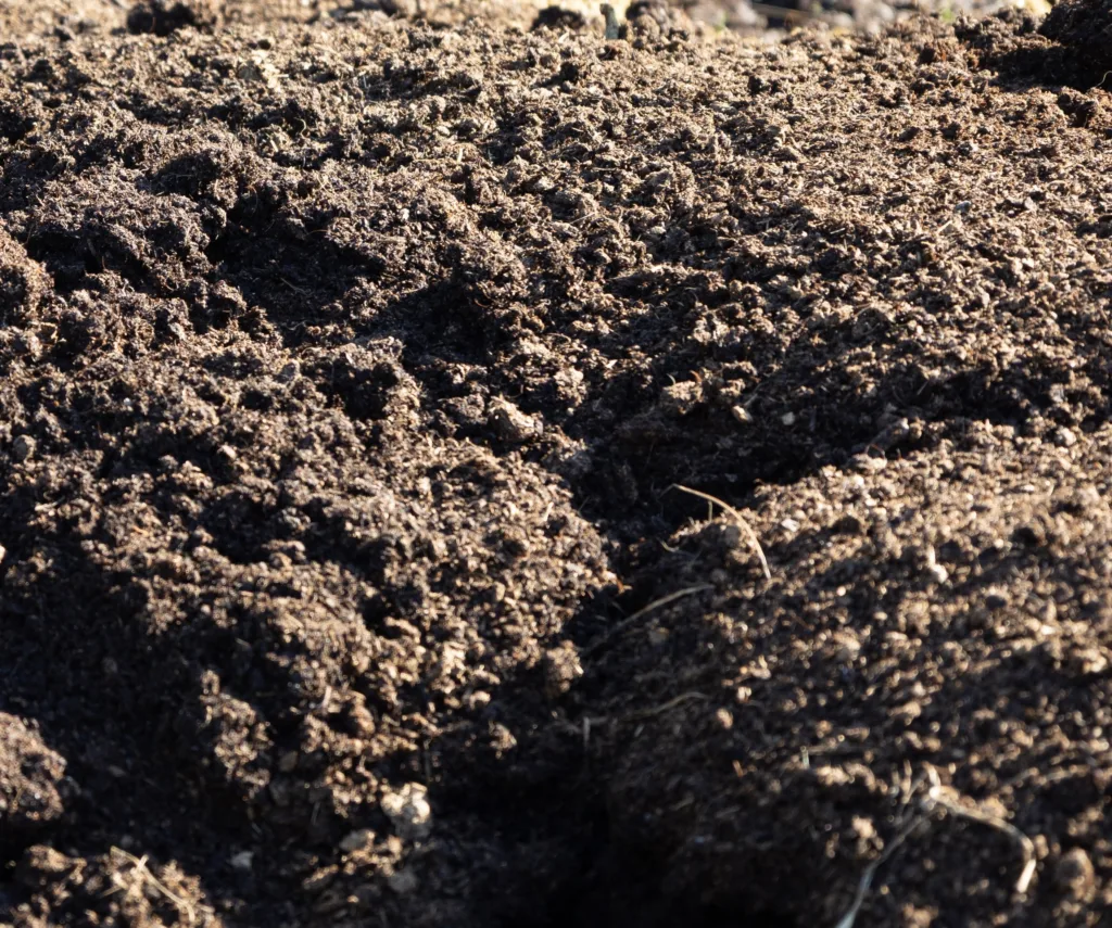 Den komposterte faste fraksjonen av separert møkk ligner på torv