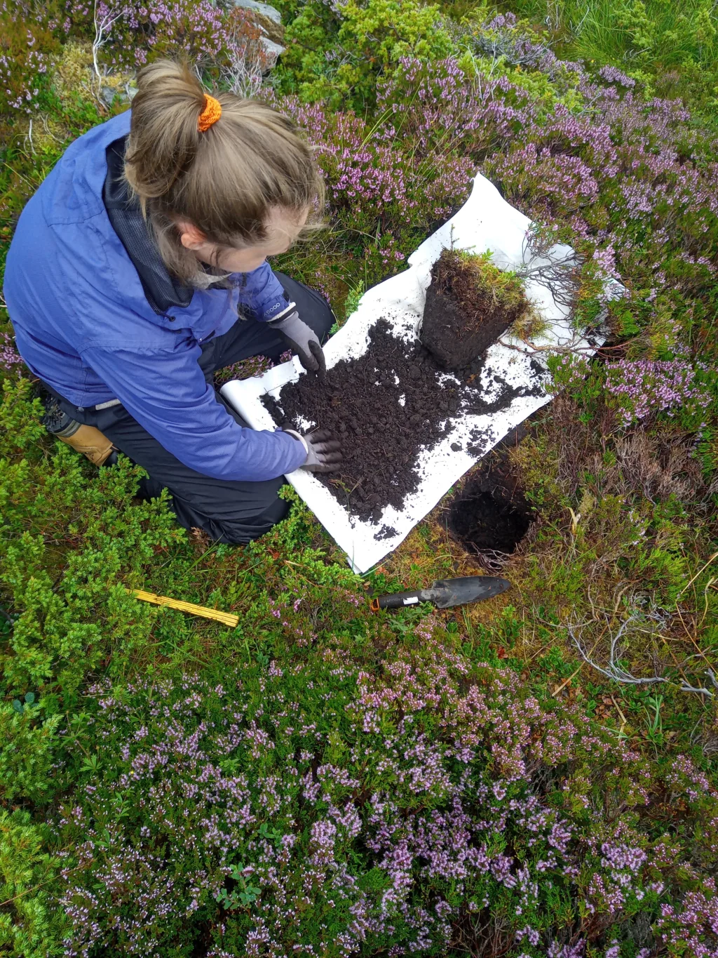 Undersøkelser viser at jorda inneholder store mengder organisk materiale, og dermed også mye karbon Undersøkelser viser at jorda inneholder store mengder organisk materiale, og dermed også mye karbon