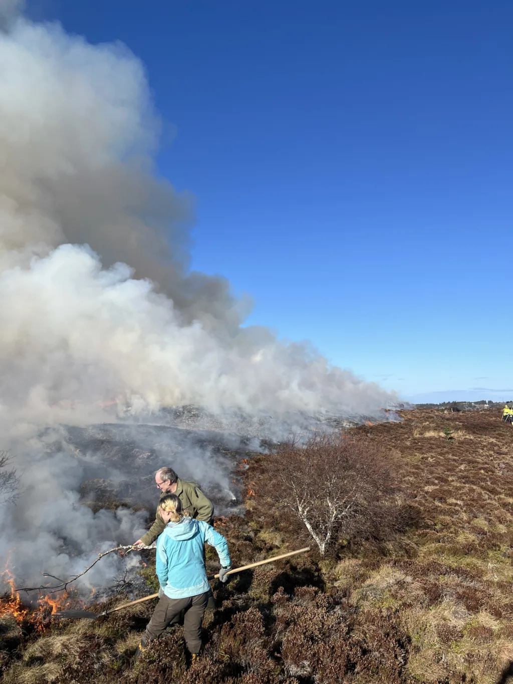 Kontrollert sviing av kystlynghei - en resurskrevende men nødvendig praksis Kontrollert sviing av kystlynghei - en resurskrevende men nødvendig praksis