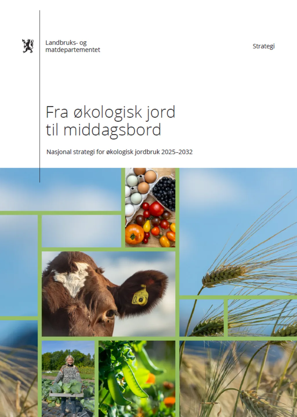 Trykk på bildet for å lese hele strategien