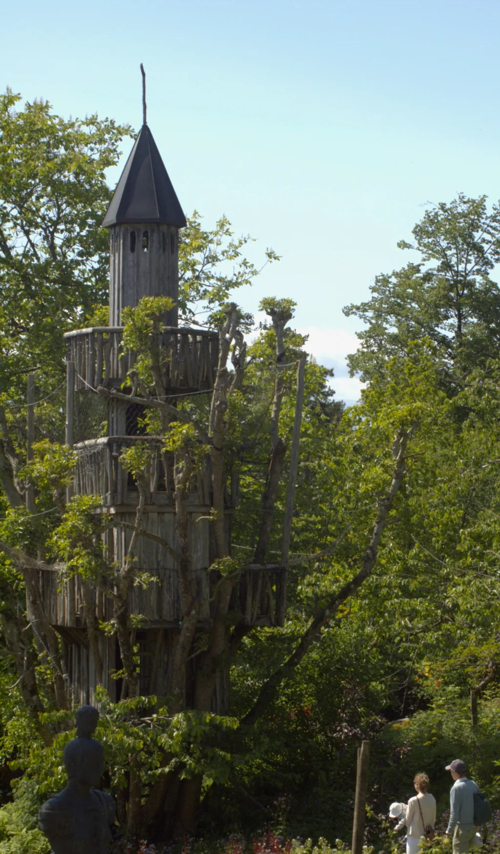 "Aske-tårnet" er bygd mellom stammene på en gjengrodd ask