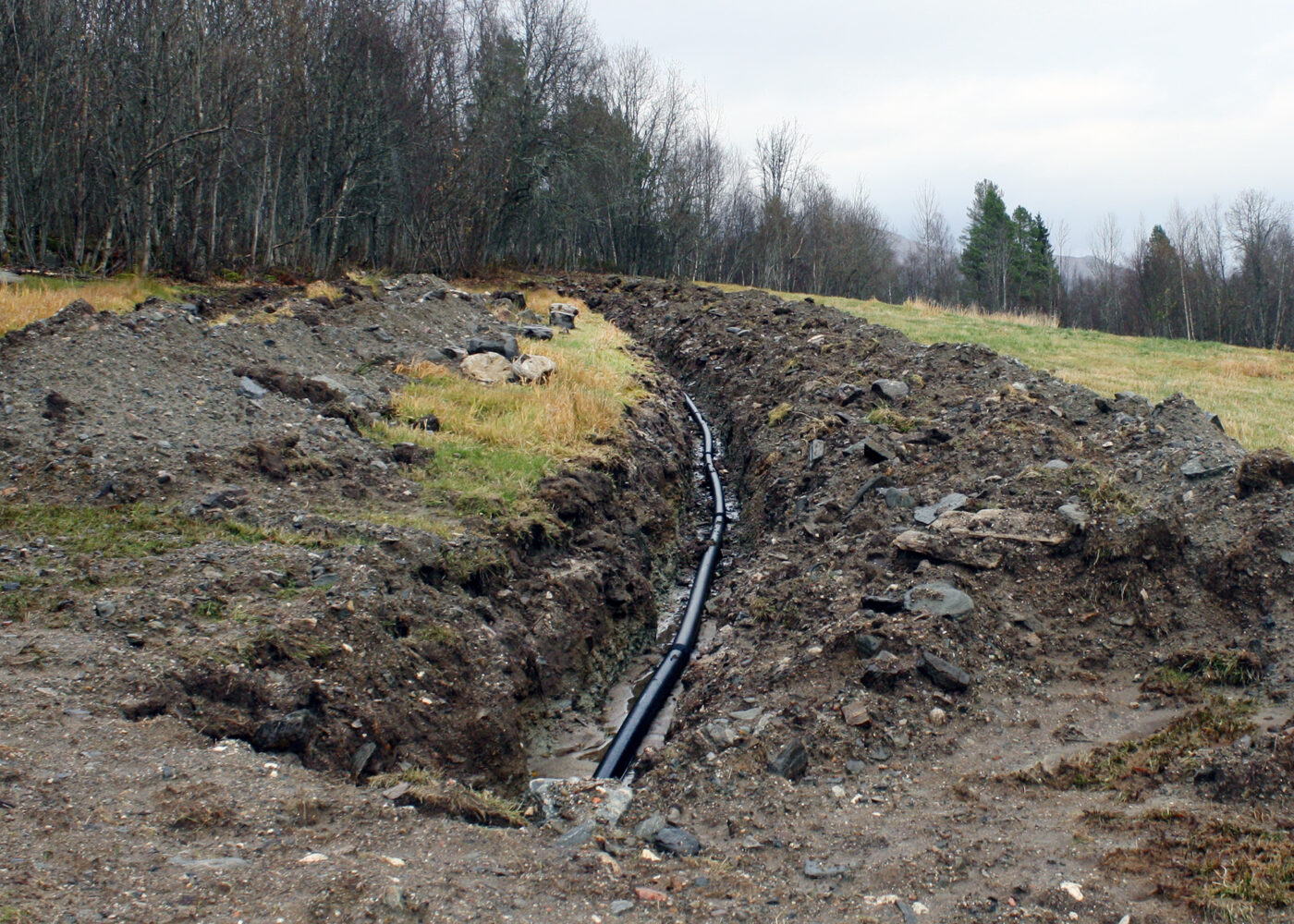 Drenering: Økonomisk vurdering