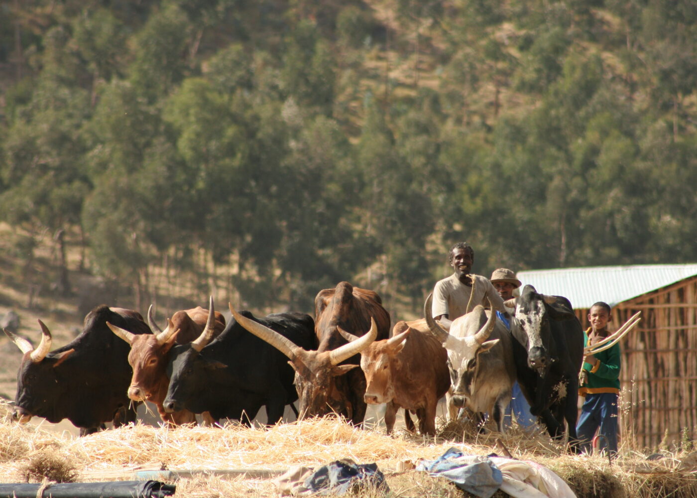 Landbruk må drives bærekraftig for å oppnå matsikkerhet