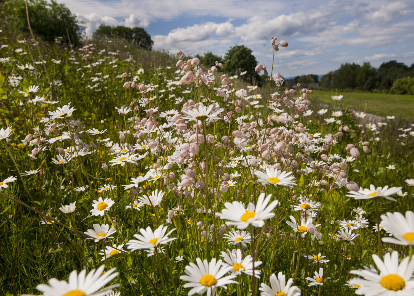 Klimapåvirkning av matproduksjon