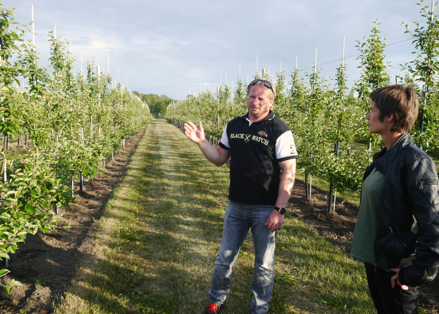 Norges største økofrukt-produsent