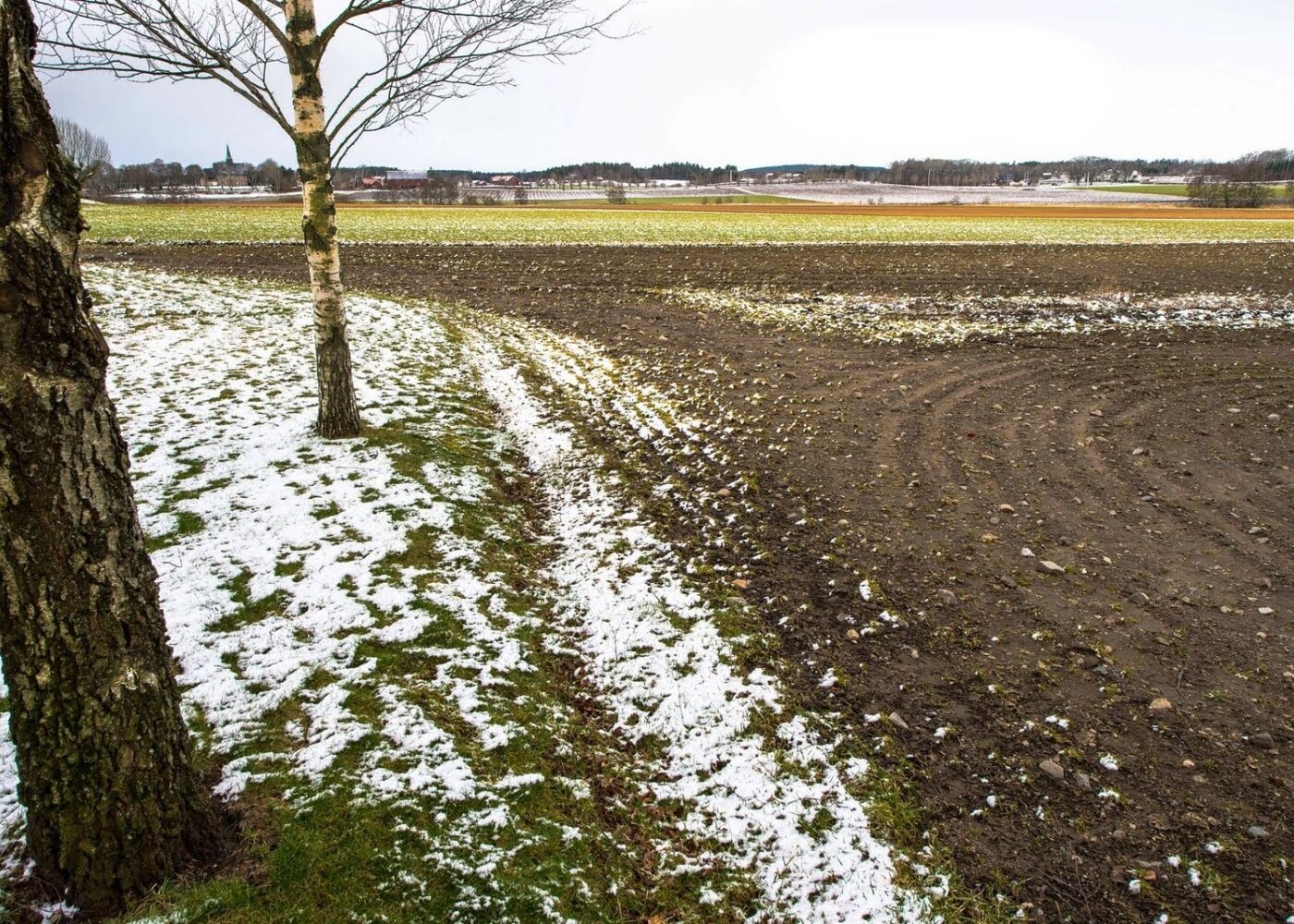 Lagring av karbon i jord