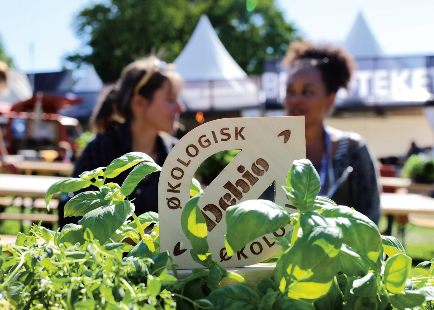 Årsrapport for produksjon og salg av økologisk mat i 2022