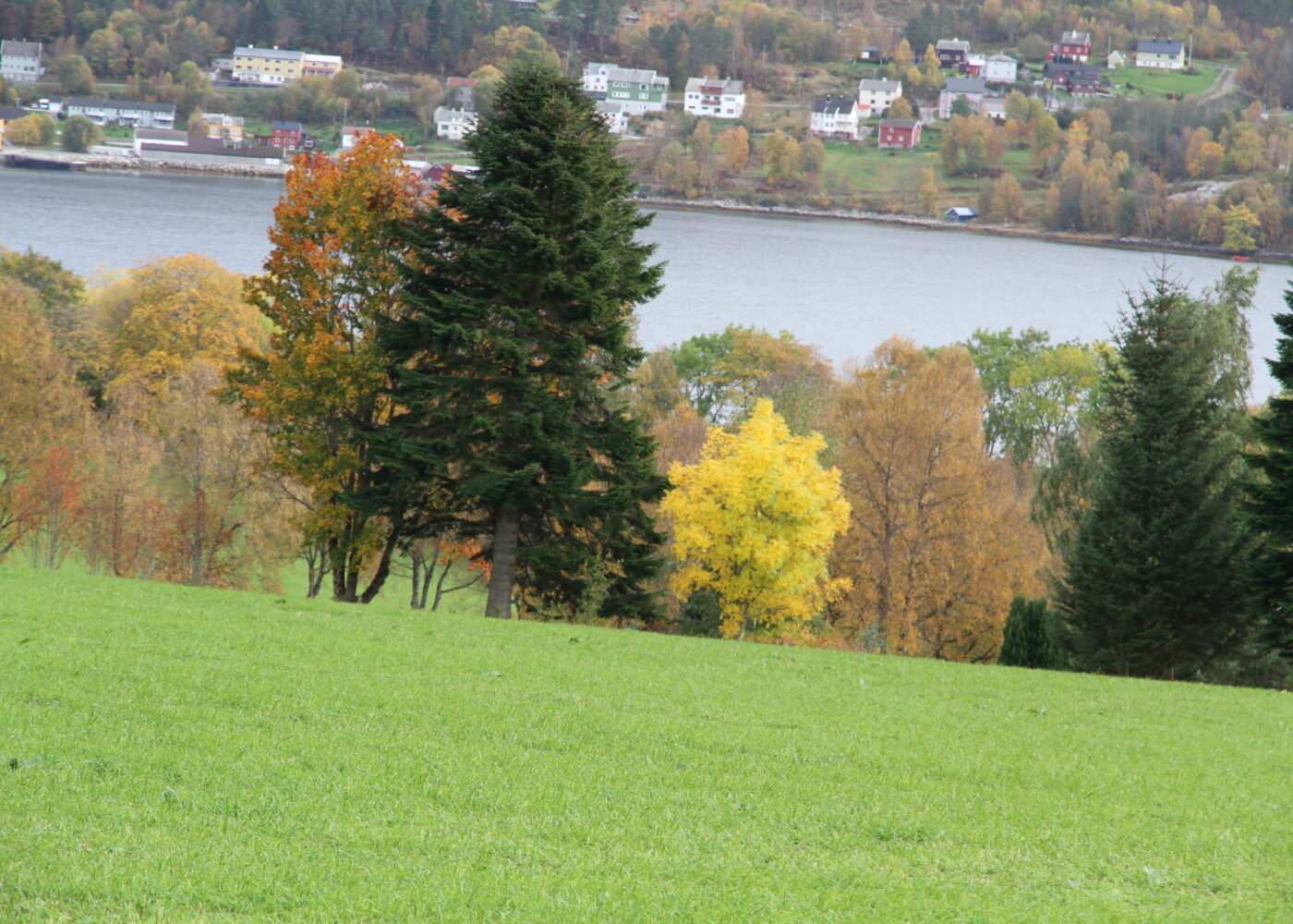 Profilering Profilering