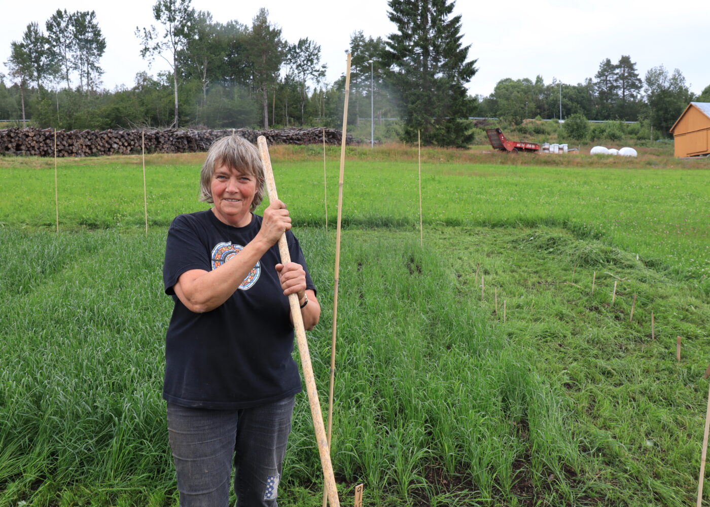 Næring fra havet som gjødsel i jordbruket