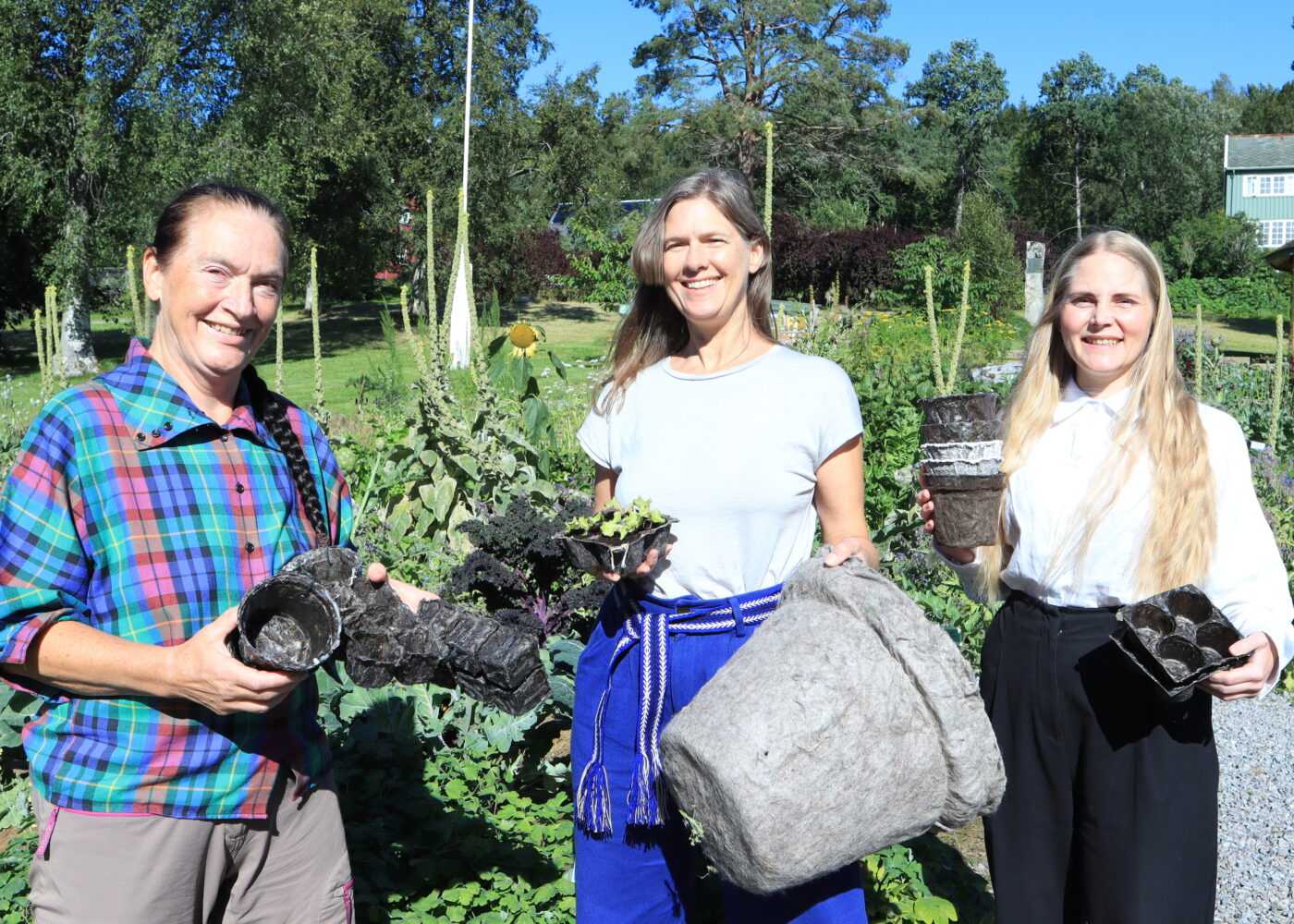 Ull i stedet for plast i plantedyrking?