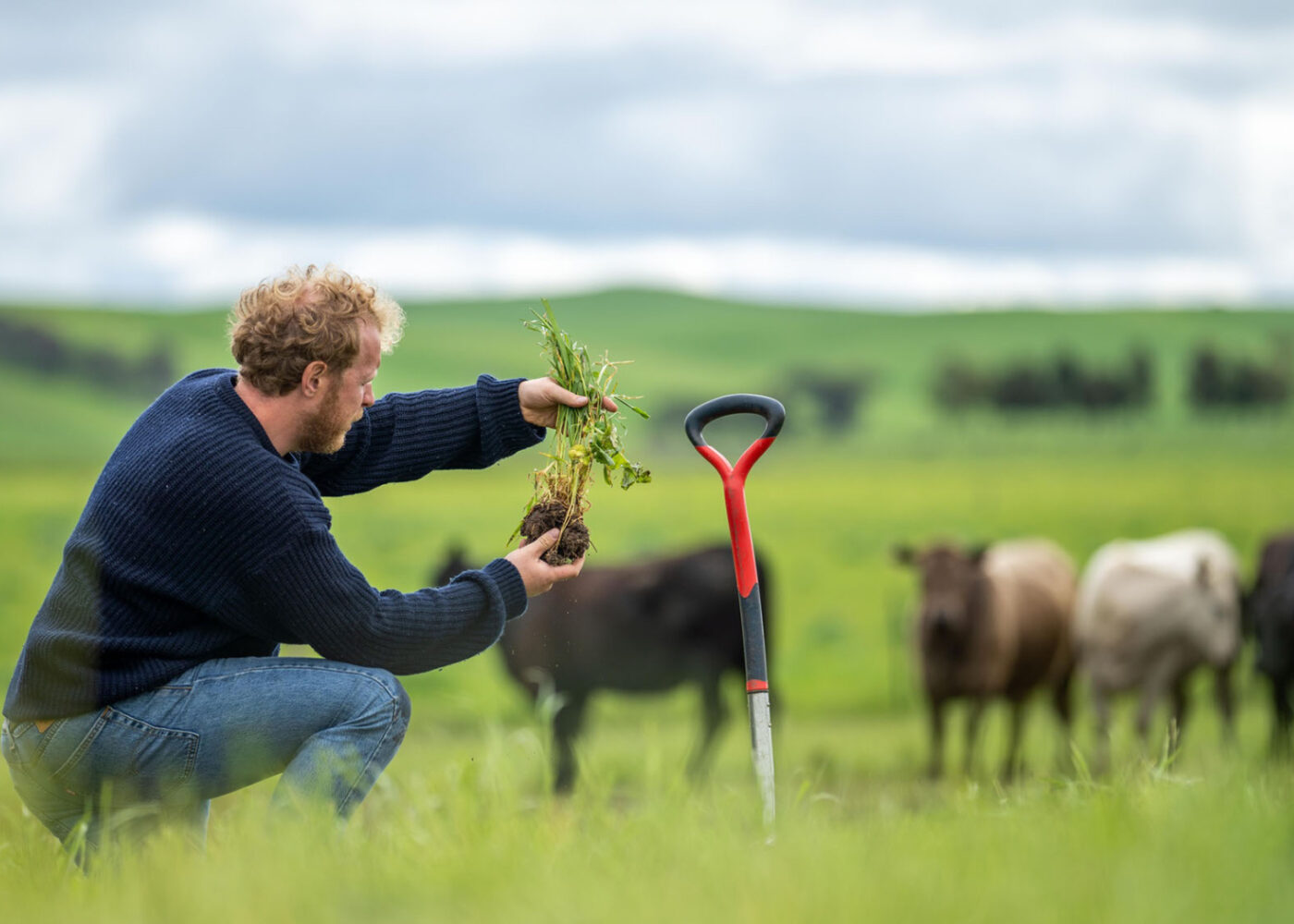 Økologisk drift gir lavere miljøpåvirkning