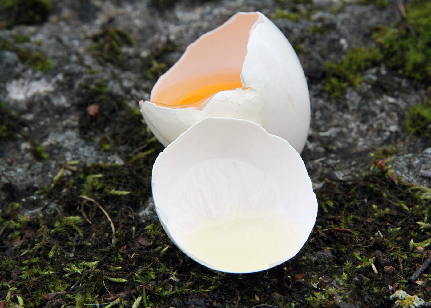 Kalkingsforsøk med eggeskall