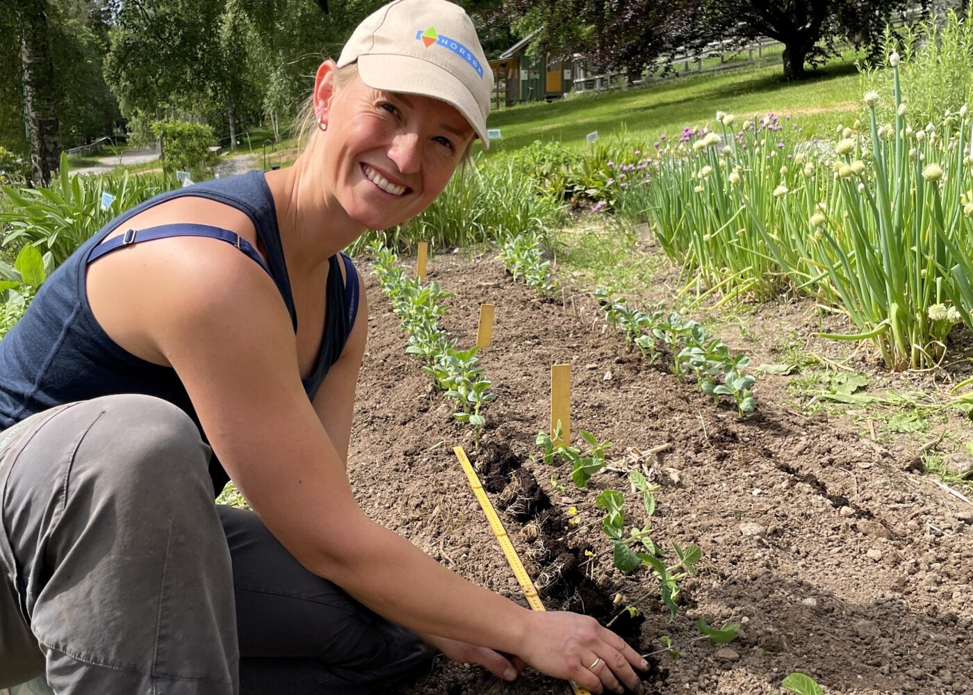 Dyrk dine egne proteiner!