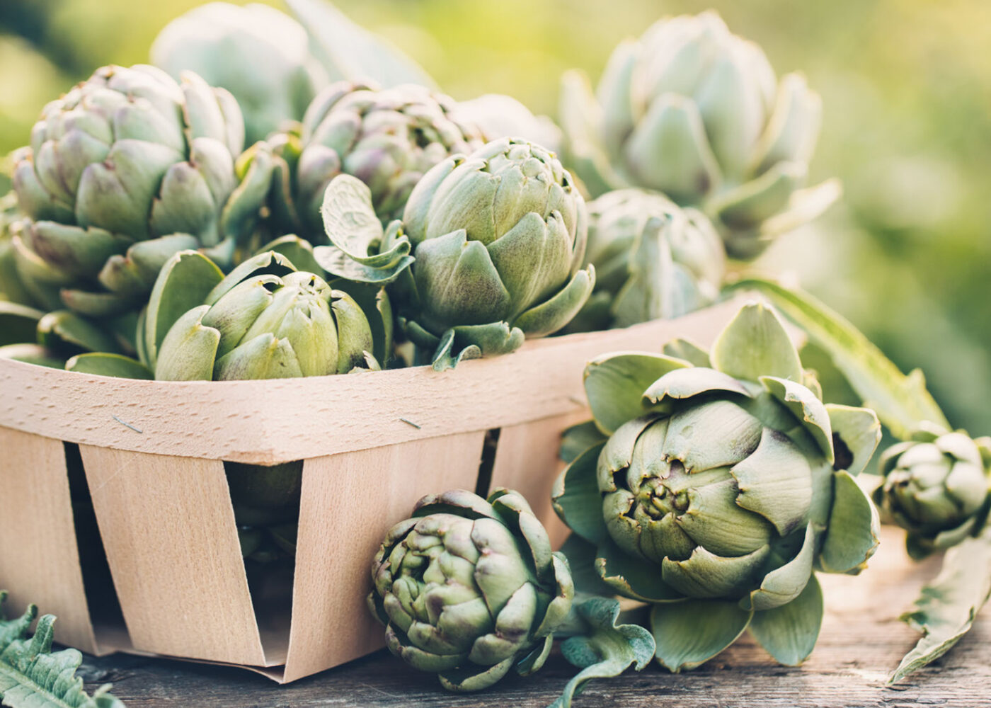 Artiskokk, jordskokk og kinaskokk – både for hage og kokk Artiskokk, jordskokk og kinaskokk – både for hage og kokk
