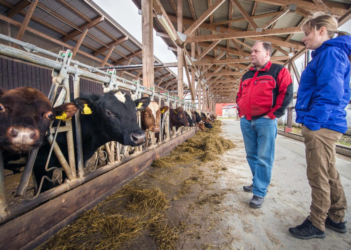 Omlegging til økologisk drift