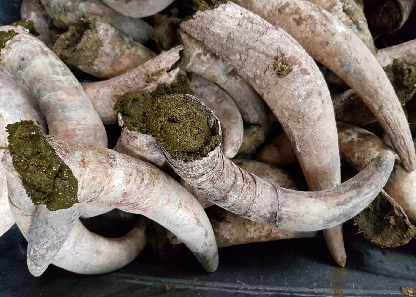 Effekt av biodynamiske preparater i jord