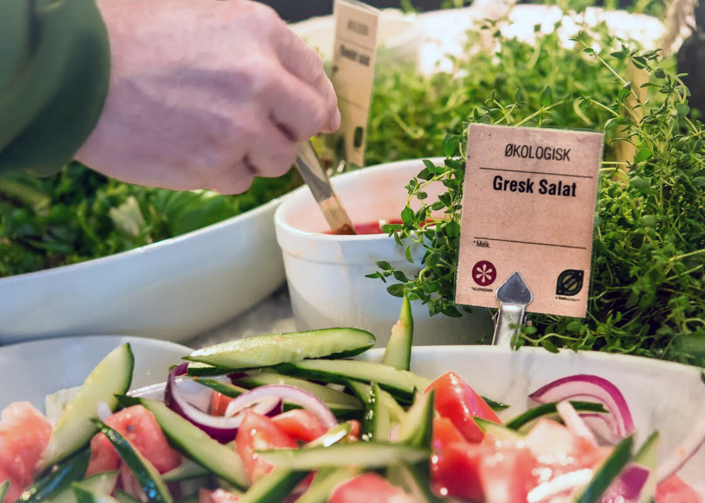 Økologisk mat i sjukehus