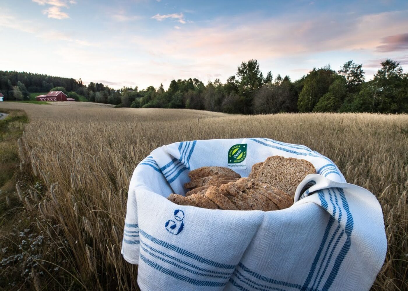 Økologisk mat - bra for klimaet?