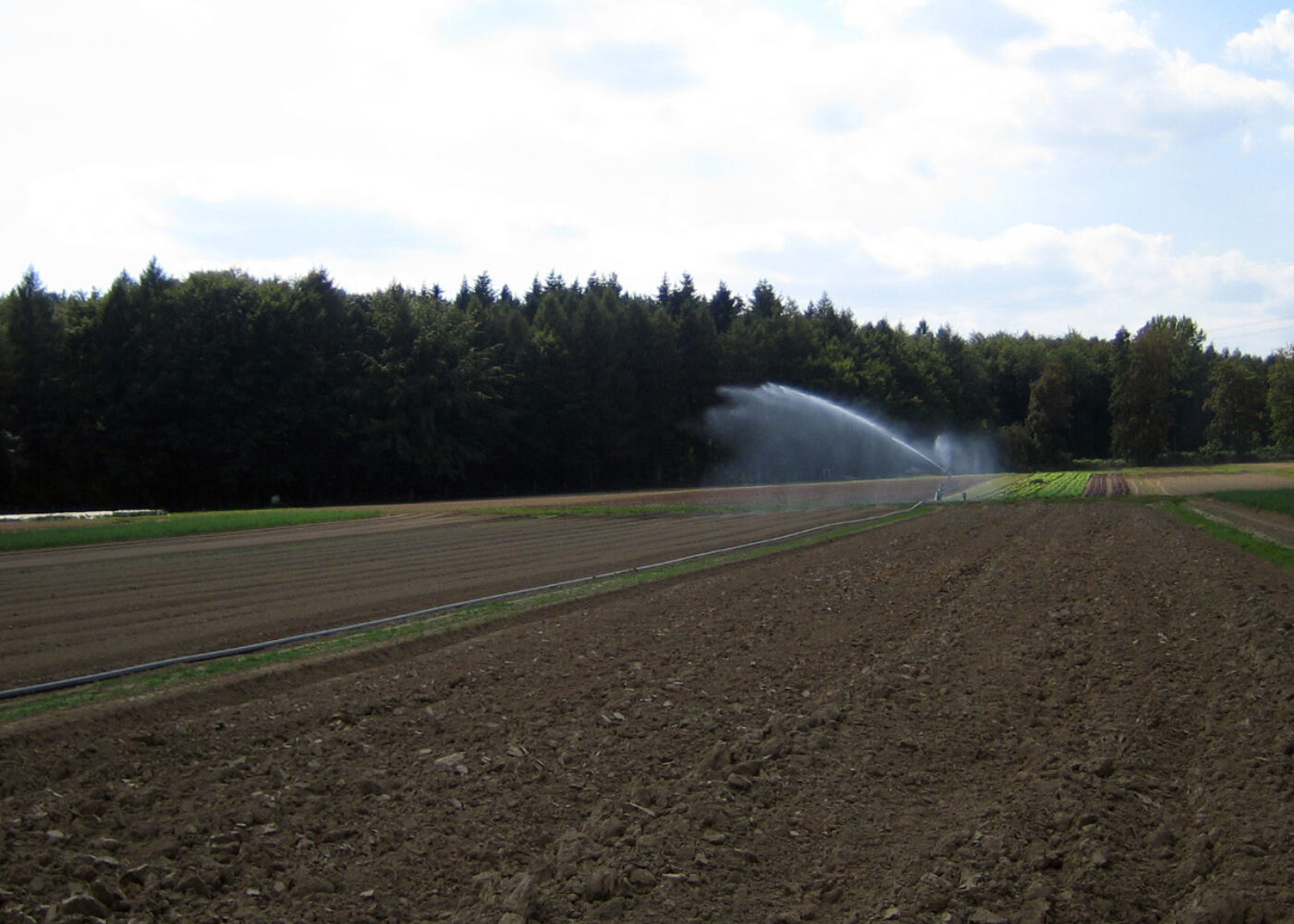 Falsk såbed og utsatt såtid