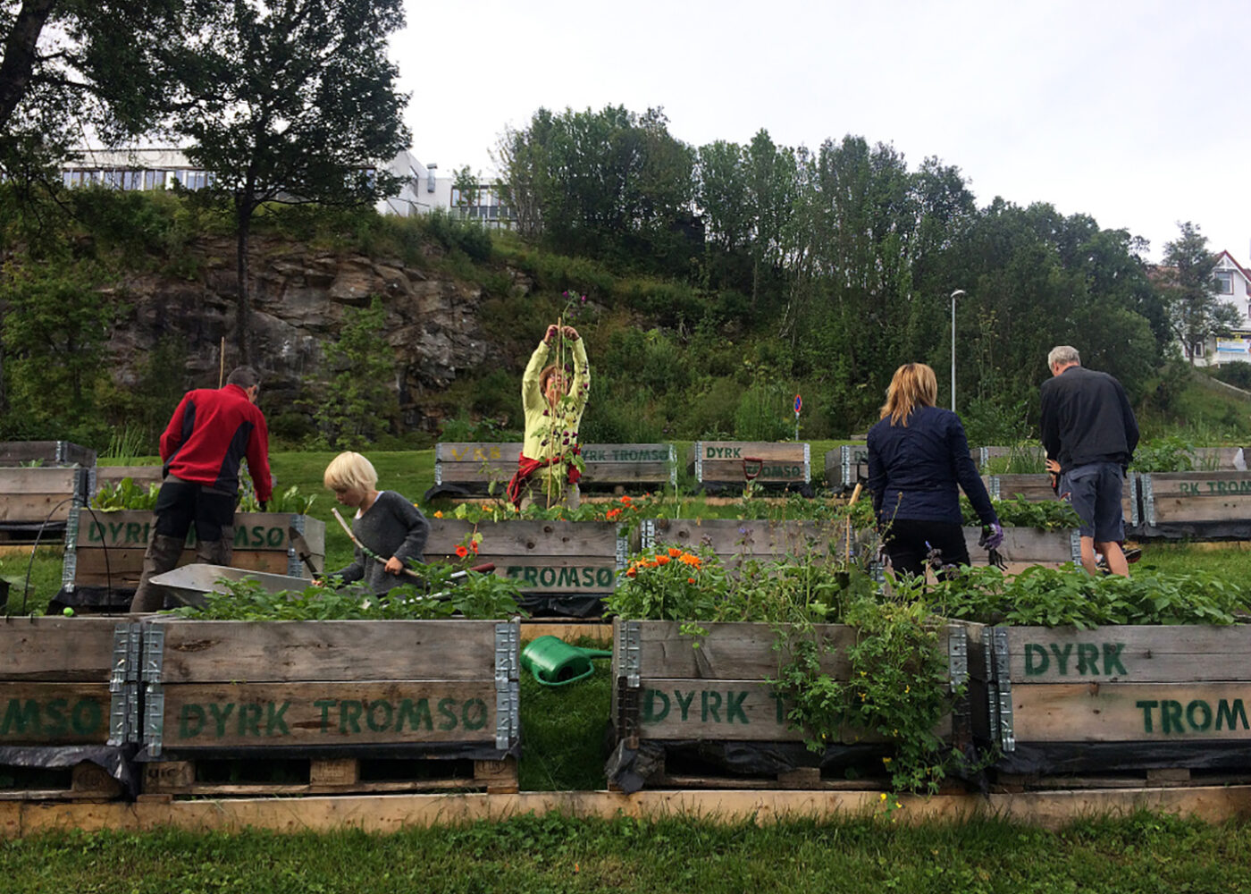 Spiselige planter midt i byen