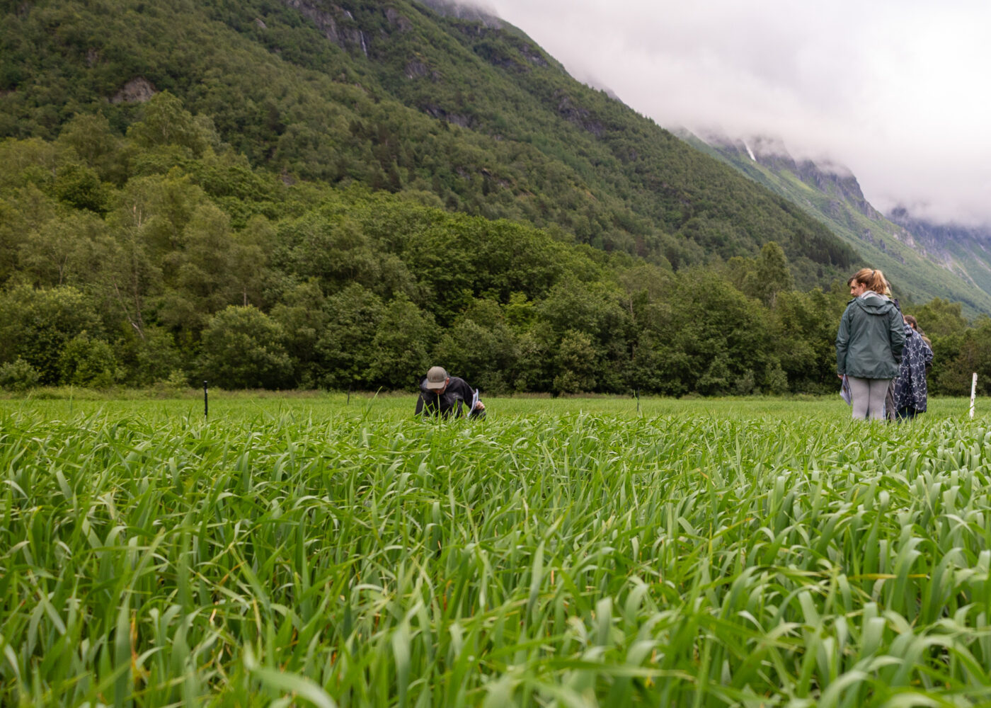Få praktisk fagstoff som er relevant for sesongen rett i innboksen.