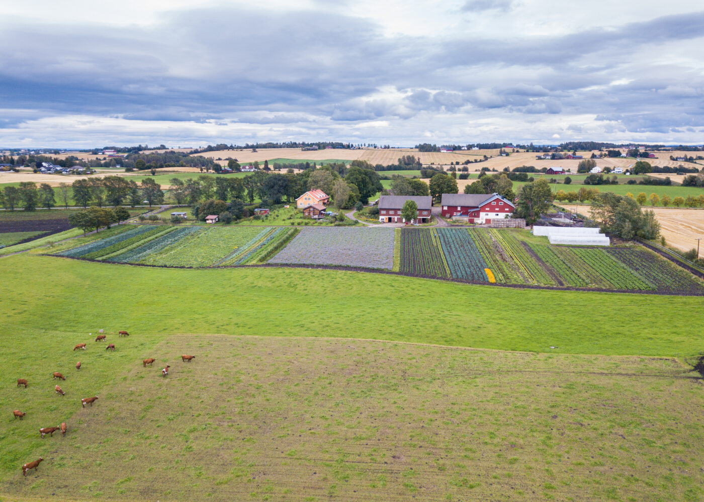 Historien peker framover: En omtale av boka «Hundre år med biodynamisk landbruk»