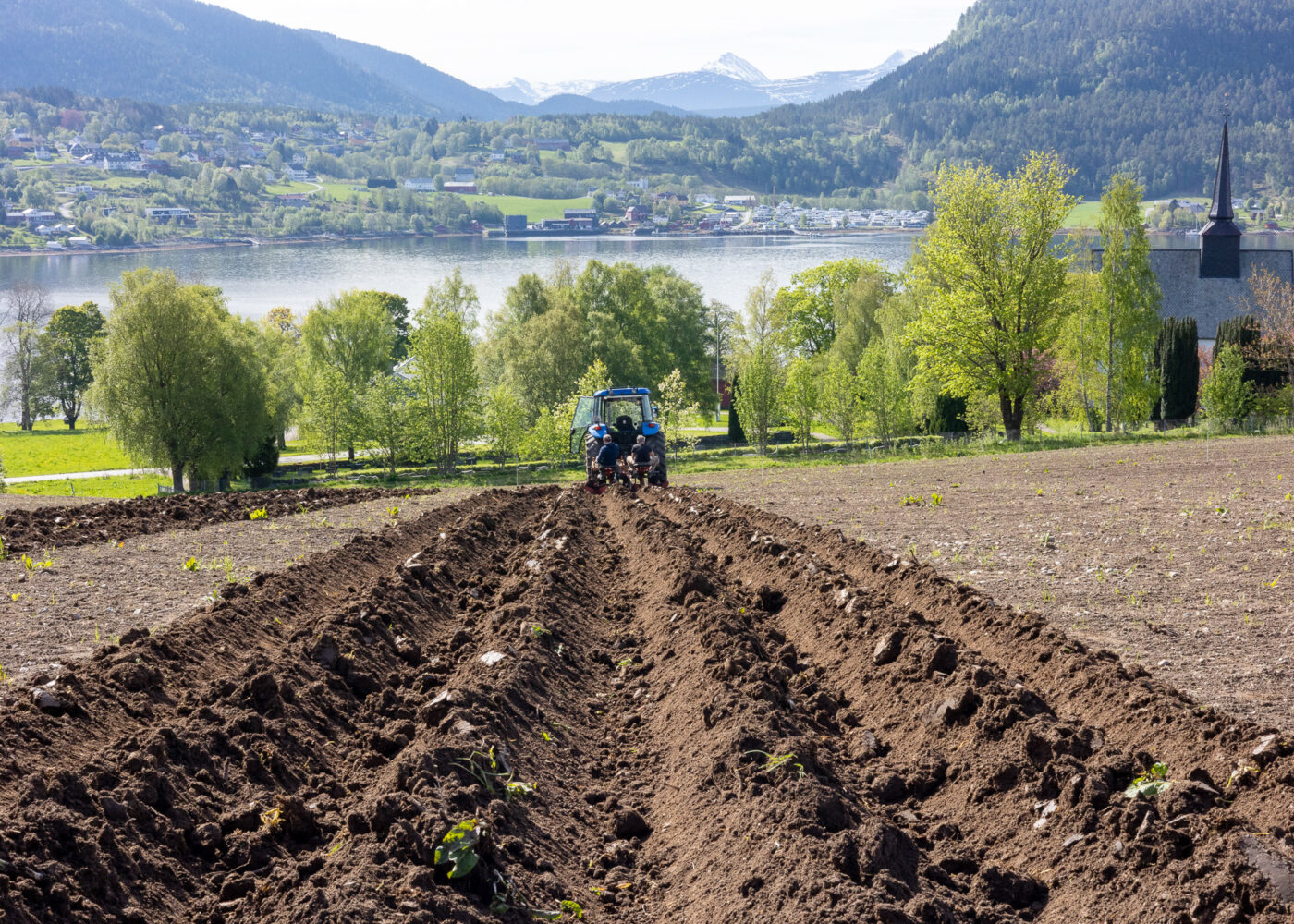 Økologisk landbruk som spydspiss