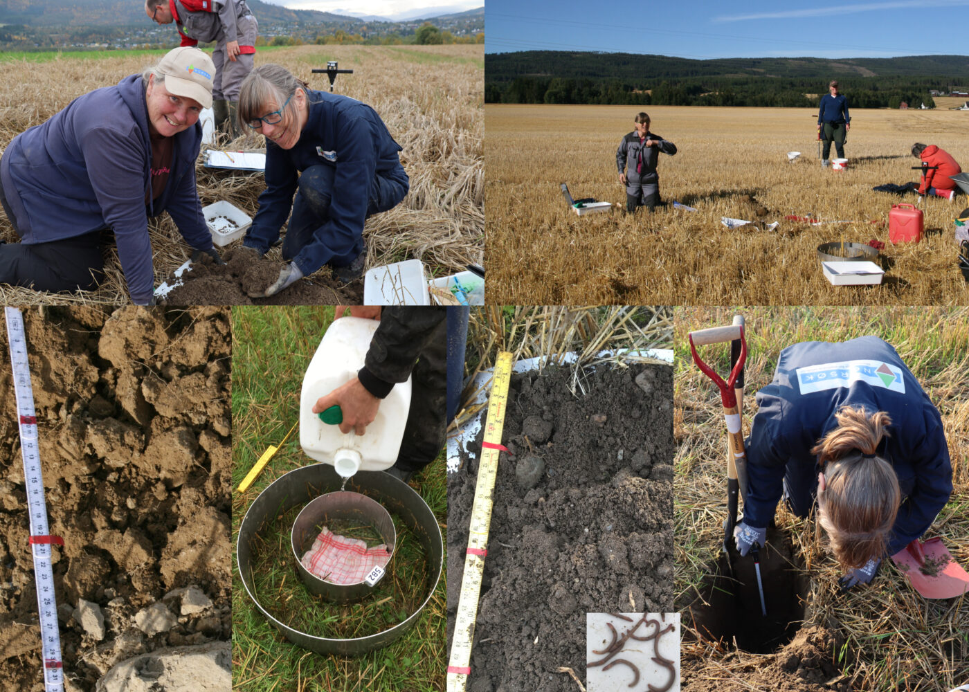 Webseminar - Soil health in the Nordic region